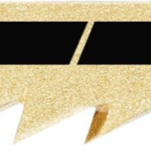 JIGSAW BLADE S 75/4 FSG 20X – indent