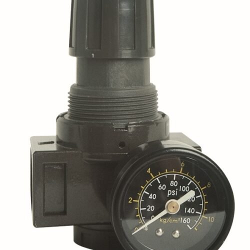 Regulator/Guage/Bkt 1/4