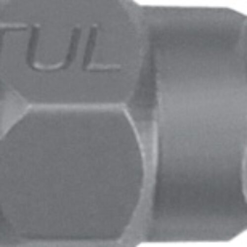 Insert Hex Bit 10mm 12mmx30mm
